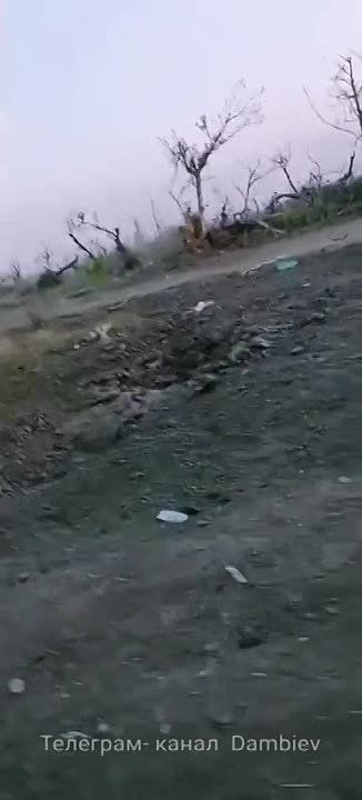 ��������� �������� ������������ ������� ���������� ������������ � ������ � �. �������� �� ����������� �����������