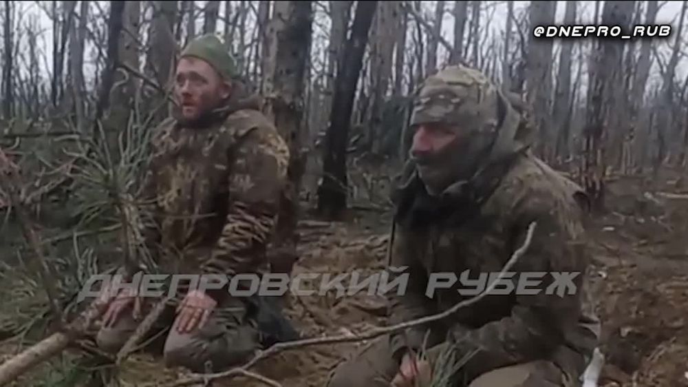 ����������� ����� "�����". ���������� �����������