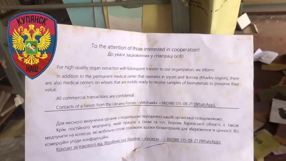 ����������� �����������: ������ ��������������� �������� ���� "�����" � �����