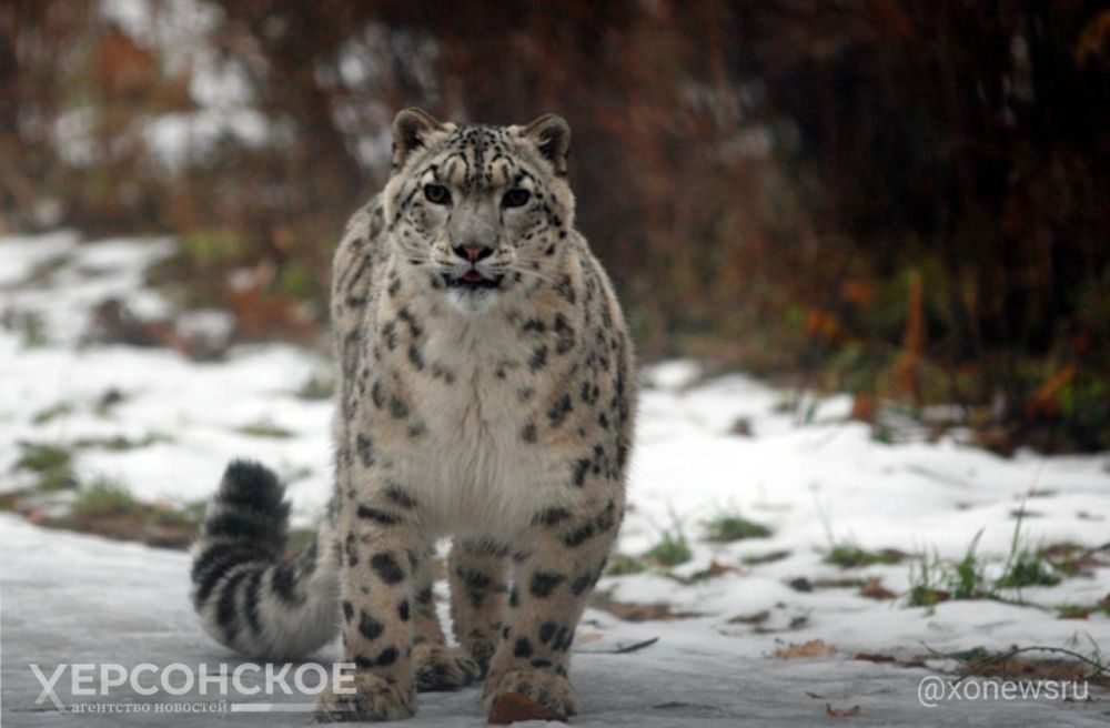 ���������� ���������� ������� ������ ������� ������ � ������� �������� ����������