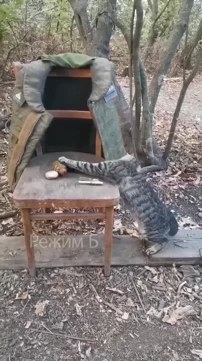 � ����� ������ ��� ��������� ������ �������� ����, ���� ����!