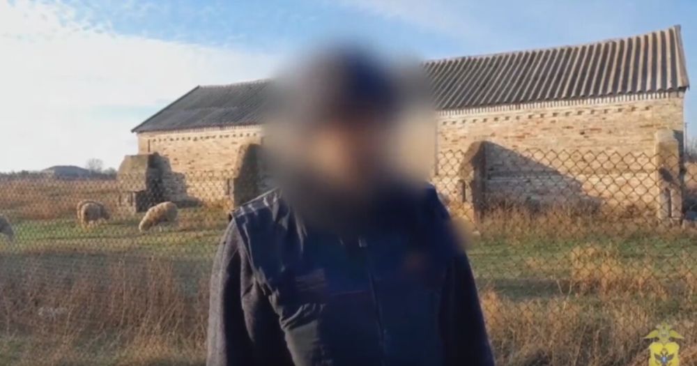 ����������� ���������� ������� ��������� ������������ ��� ���� � ���������������� ������