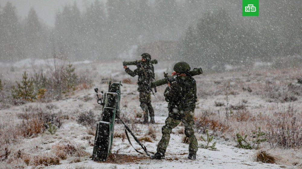 ������ ����� �������� ������������� ������ �� �������, �������� ���������� ������ The Telegraph