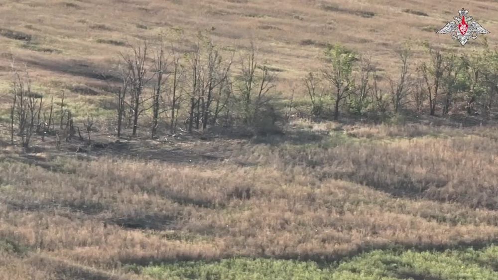 ����� ������ ������� ����������� �� ���������� �����������