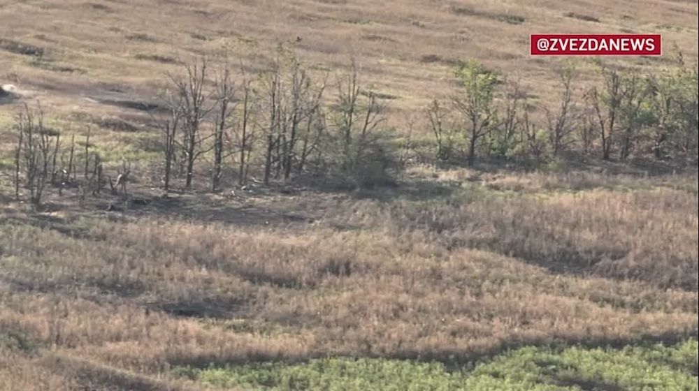 �� ������������ ������ ��� ���������� ������ ������� ��������