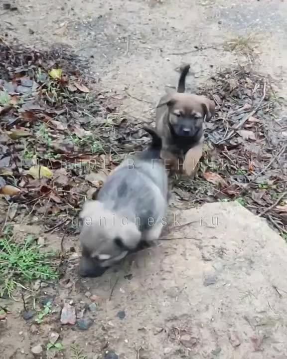 � ������������ �������� ����� ������� ����� � ����� ��������� ������� ��� ���������