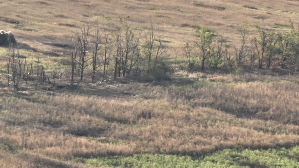 ����� 20 ������ ��������� ������� �������� �� ����� �� ��������� ������ �� ������ ������ ������ � ���������� �������