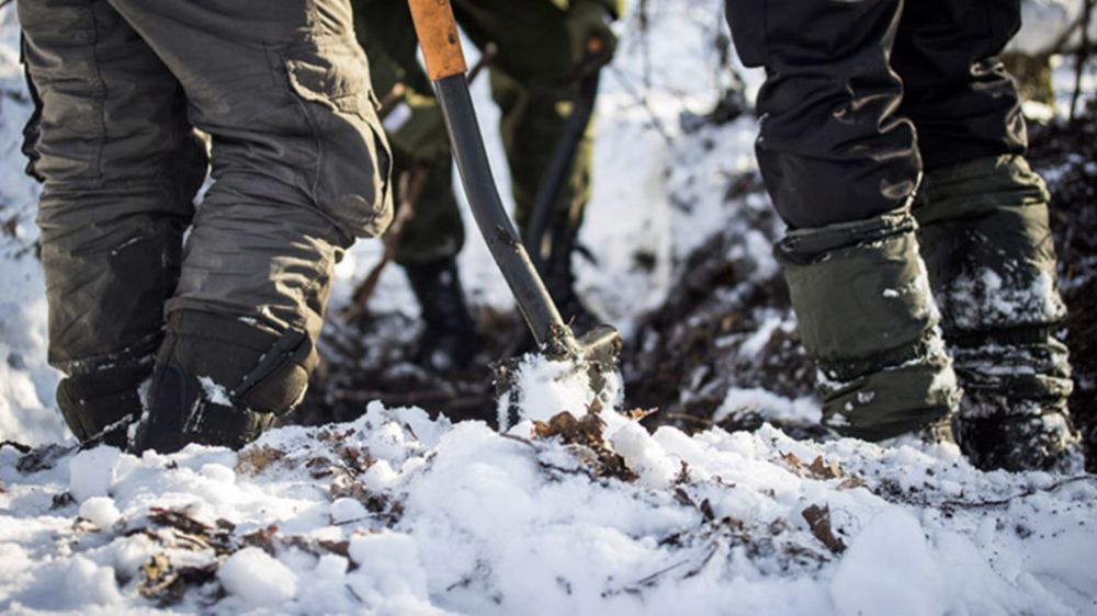 ���� ����� � ����� �����: ��������� ������ �����, � ������� �� ����� � ������� ���