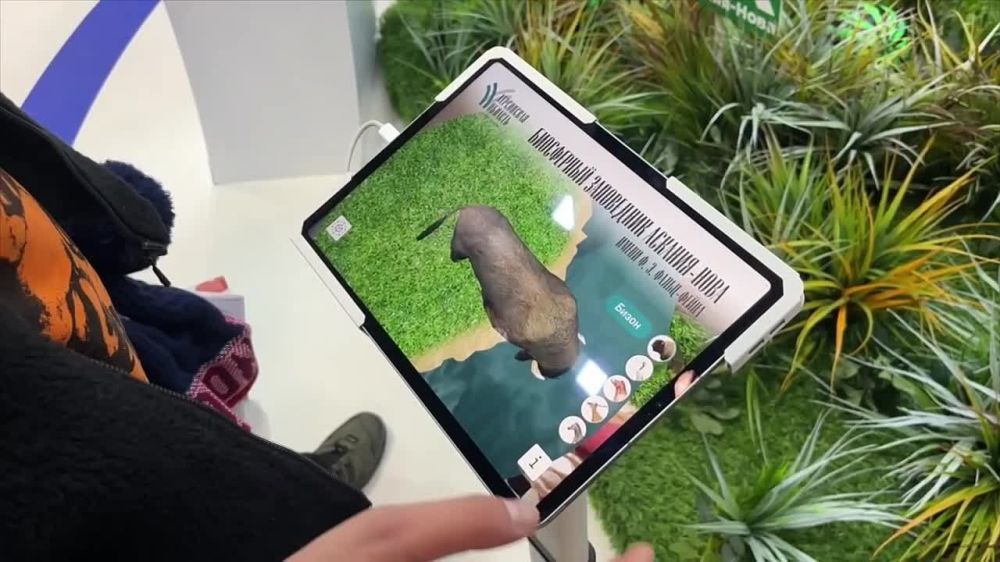 ���������� ��������� ���������� ������� ������������ �� �������� ��������