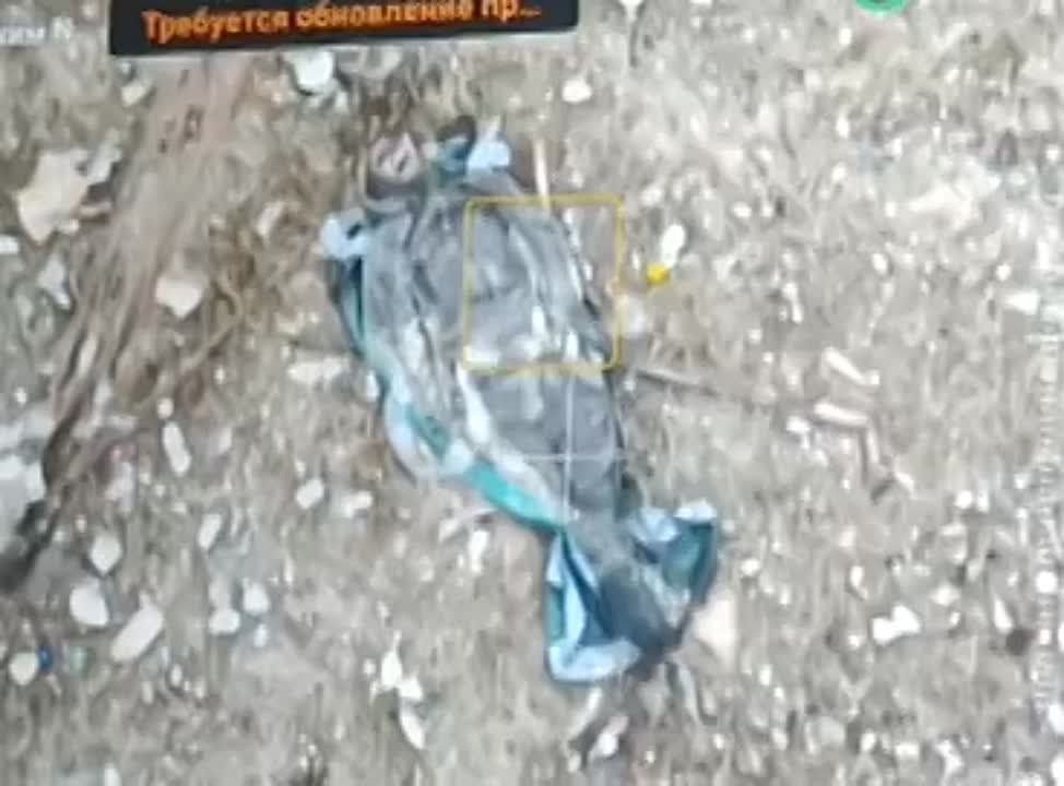 ��� ������: ���������� �������, ��� �����