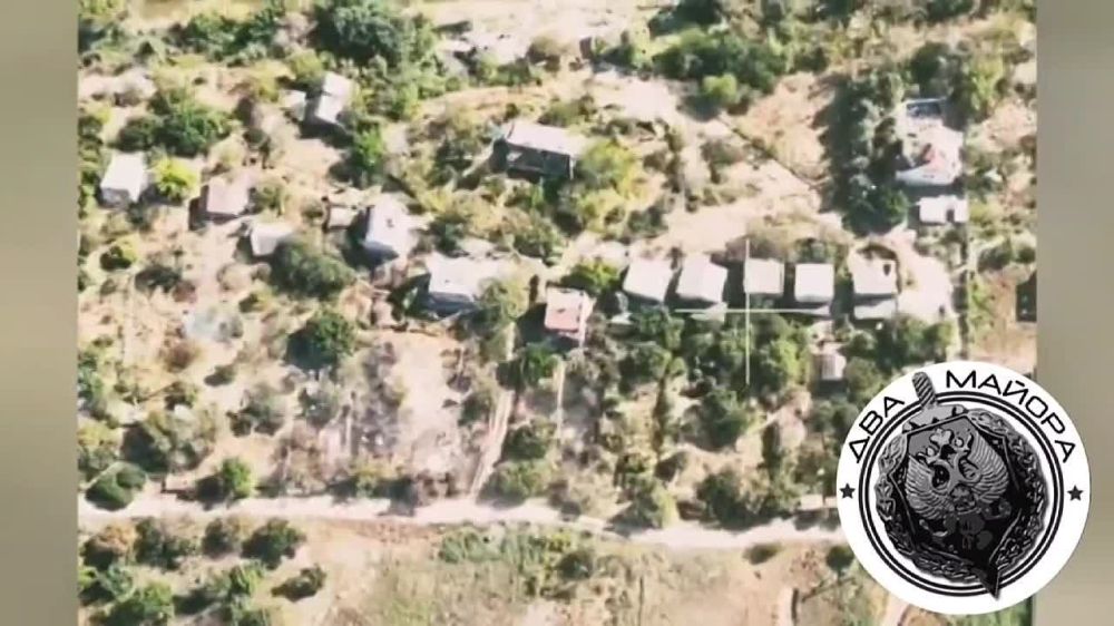 ��� ������: ���������� �������, ���� 2023