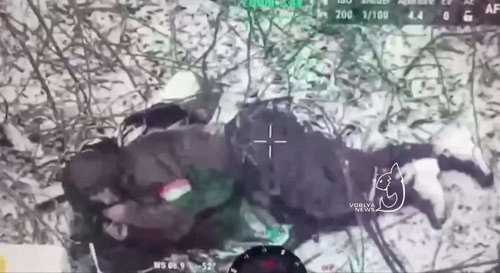 ������ � ������� ���������: ������� ���������� ���� ������ �� ����, ���� �� ����� � �����