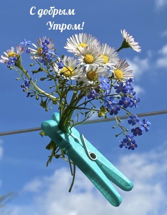 ������ ����. ������� � ���� � �� ������ ������ ���� � ������� ����� ������ �� ��������. ������� ����� ���� �����. ����������� �� +1 ����� �� +6 ����