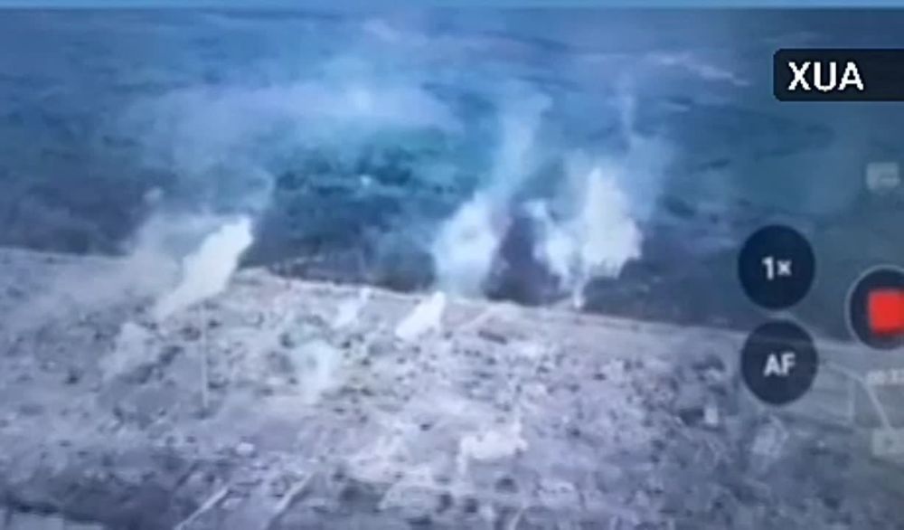 ����������: ��� ��������� ������� �������� ����������� ����� ����� ������ � �������� ���������� � ���������� �������