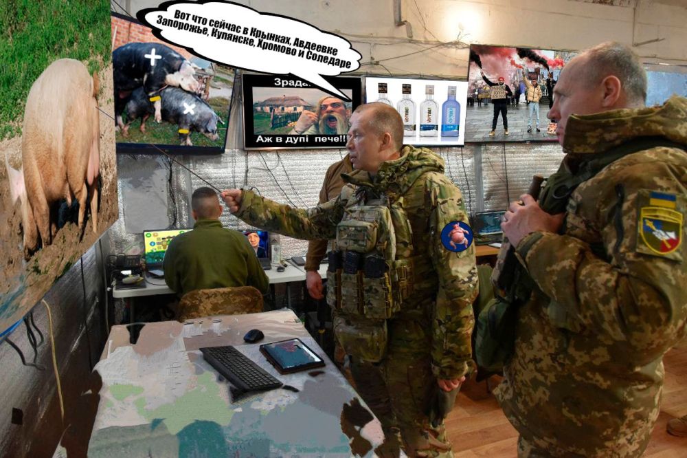 ������ � �������� ���������� ��������