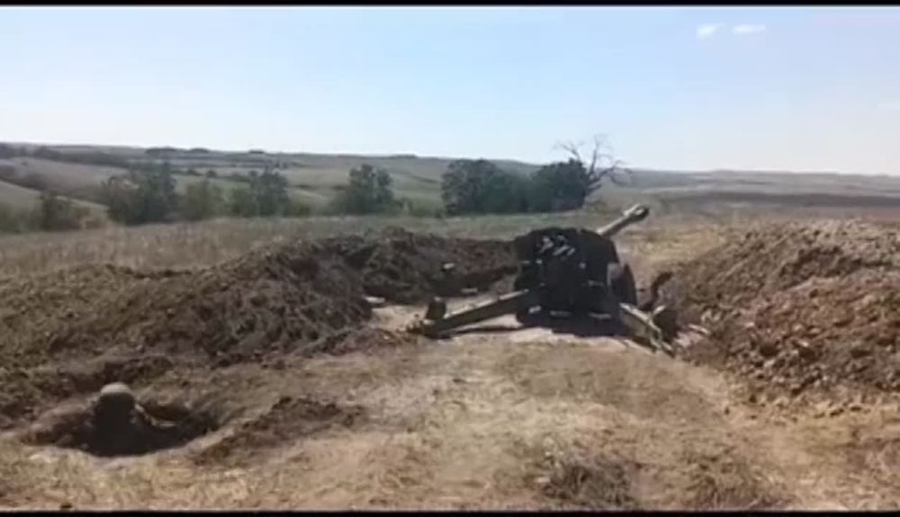 ��� ������: #���� ����� ���������-����������� �� ������ ������ ������