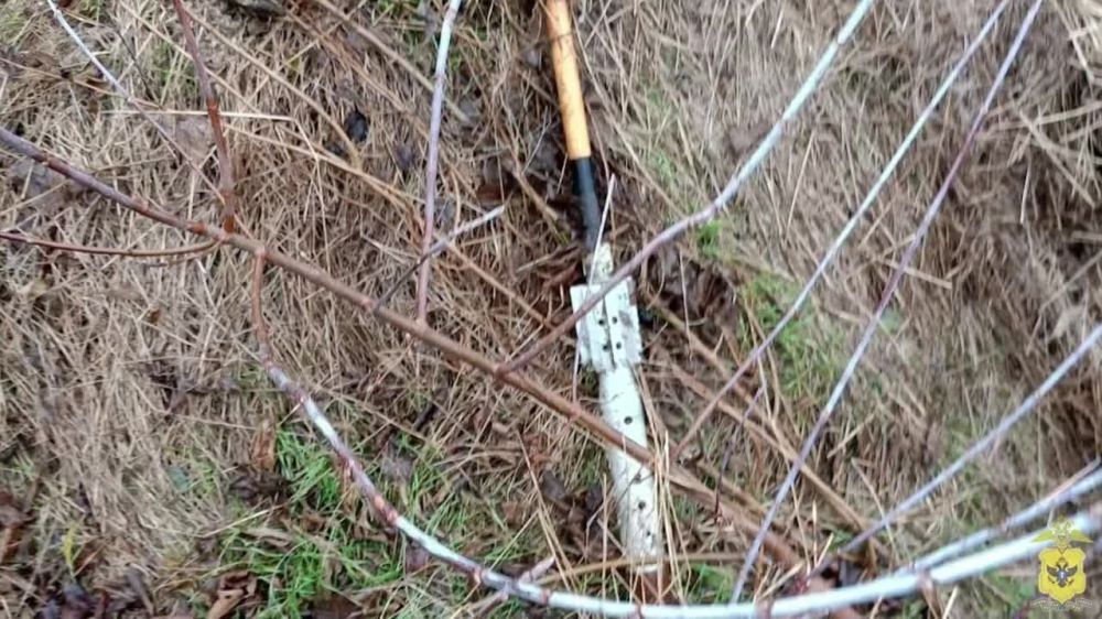 ���������� ����������� ���������� ��������� ���������������� ��������