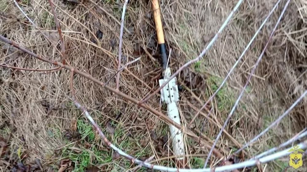 � ������������ ������ �� �������������������� ����������� ����� ����� � �������