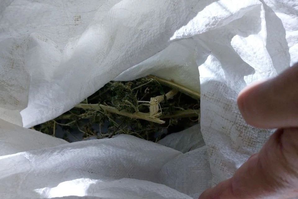 � ���� 54-������� ������ ��������� ����� 100 ������� ��������� � 22 �������