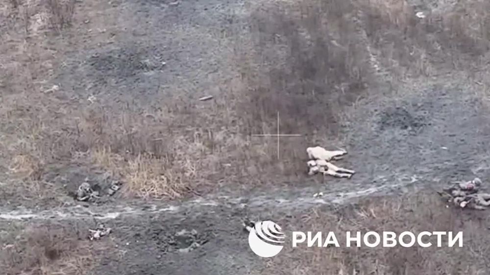 ���������� ���������� ������ ��� � ������� � ������-������ �� ���������� � ����� ����� 20 �������