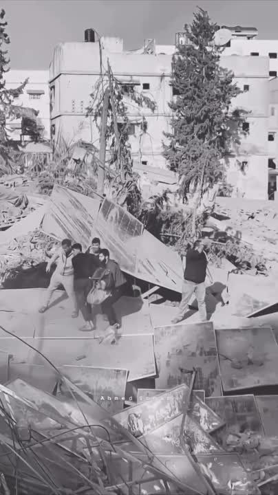 ����� ���������� ����� �� ������� ����