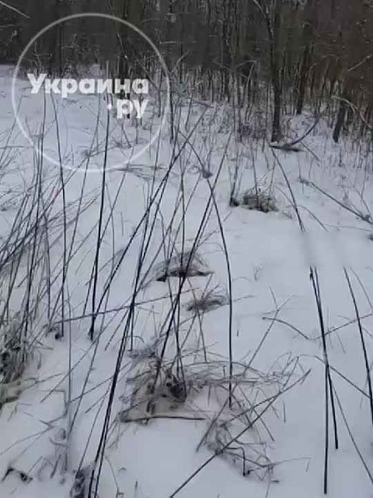 ���� ��� - ��� ������ � �������!�