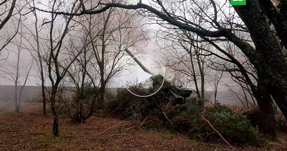 ��: ���������� ������� ������� �� ������� ��� � ���������� �������