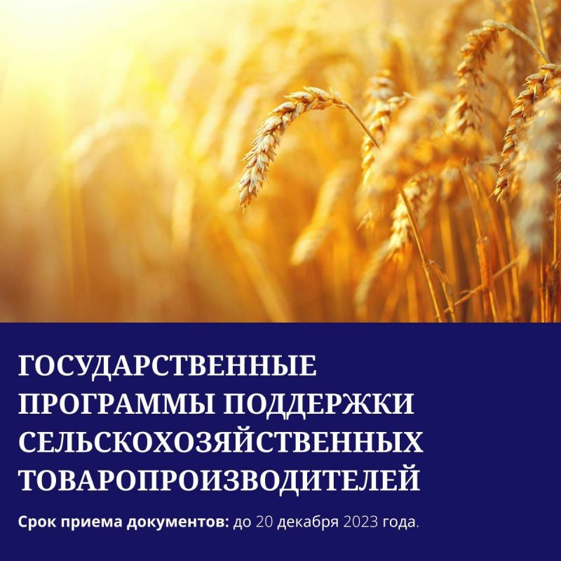 ������ ����������: ���������� ������� ����� ������������ ������� � �������� �� ������ ����, �� � �������� �������