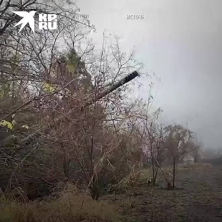 ���������� � ���� ��� �� ���������� ����������� 12 ������� 2023: ������� ��� ������ ���������� ���