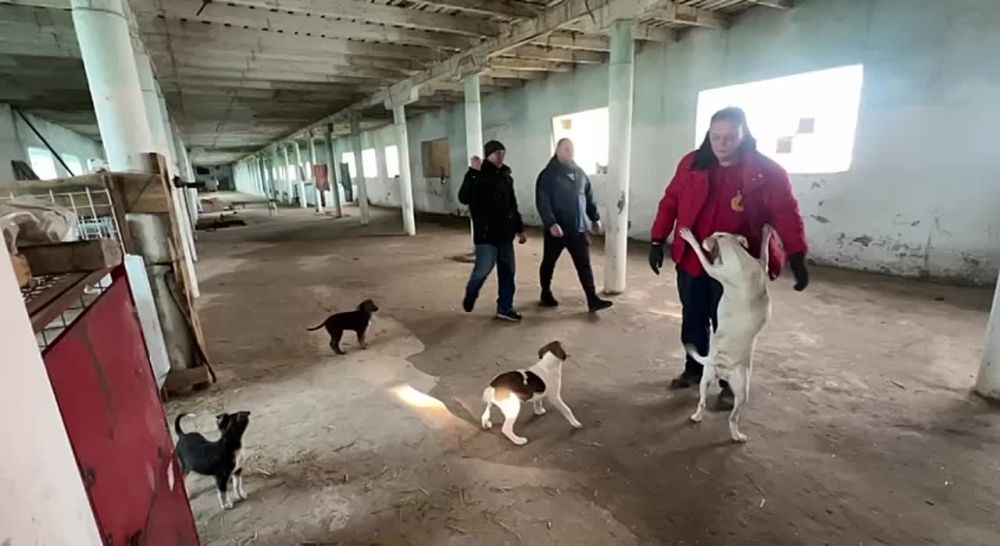 ����� ��������: ������ ������ ����� � �������� ������ �� ���������