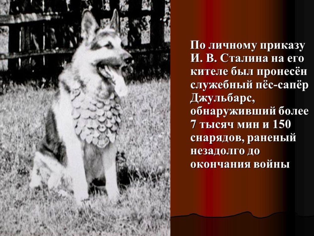 � ����� ������ ������� ������ ���������� ������������� � ��������� ���