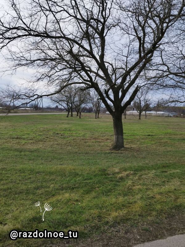 ����� ���� ��� �������