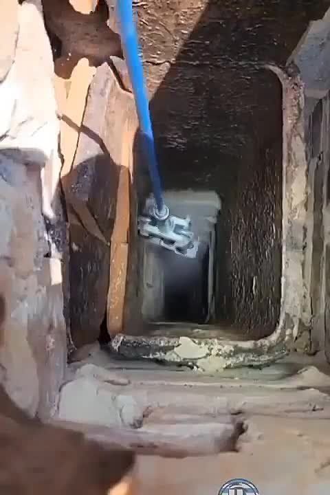 ����� ������� ���������� ������������� ����� �������� ����� � ������� ����