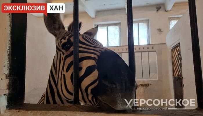 ��� �������� ���������� ��������-����