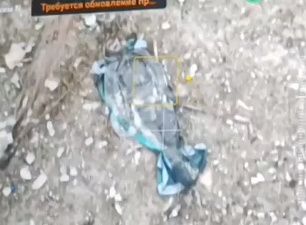 ����� "������ ���������������� �����" � ���������� �������