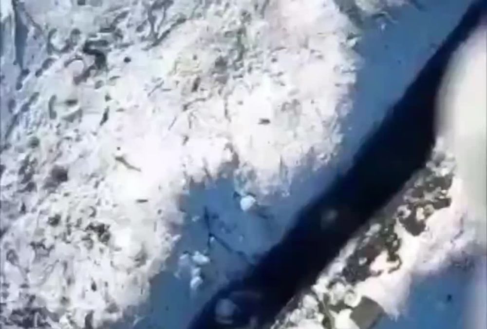 ��������� ��������� ��� ������