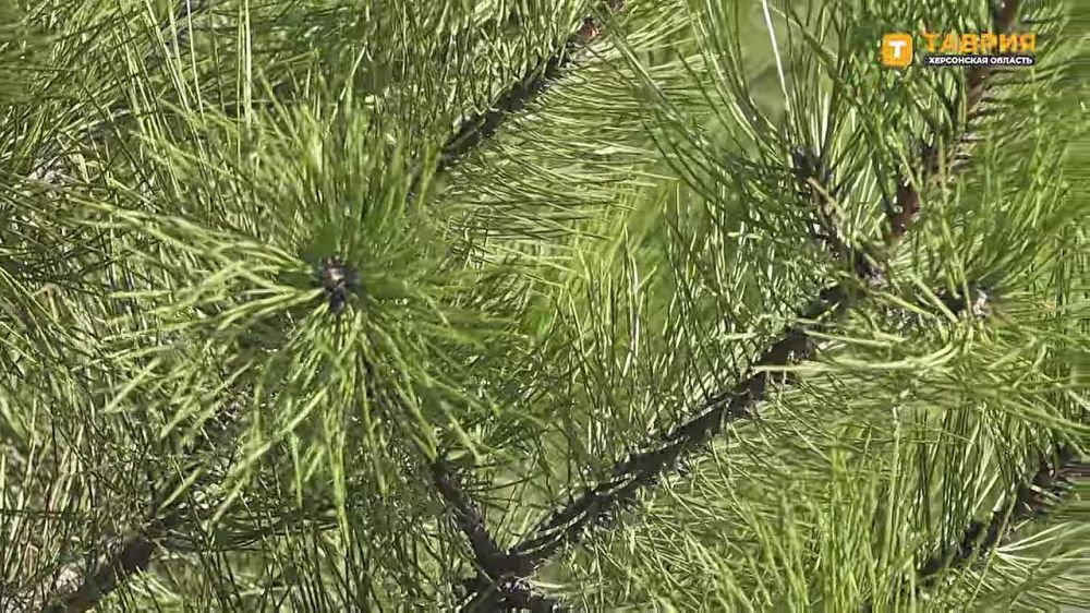 � ���������� ������� ����������� ������������� ����� ��������� ���