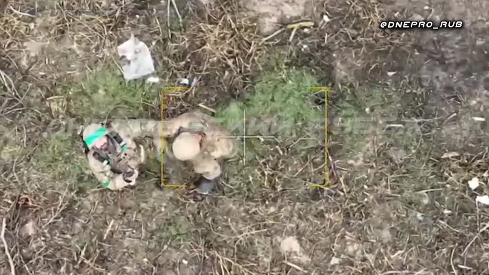 ����������� ����� "�����". ���������� �����������