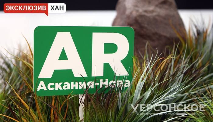 ���������� ���������� ��������-���� ������� ����������� ����� ��� ����������