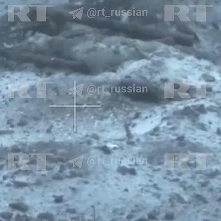 ������ �� �������� 10 ���� ��� � ������ �.�. �������