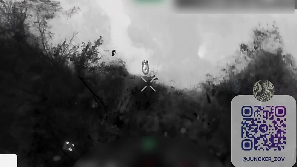 ���������� �����������, ���� �����