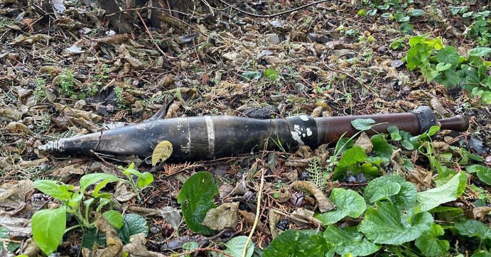 ���������� ����������� ������ ����� � ����������� ���������