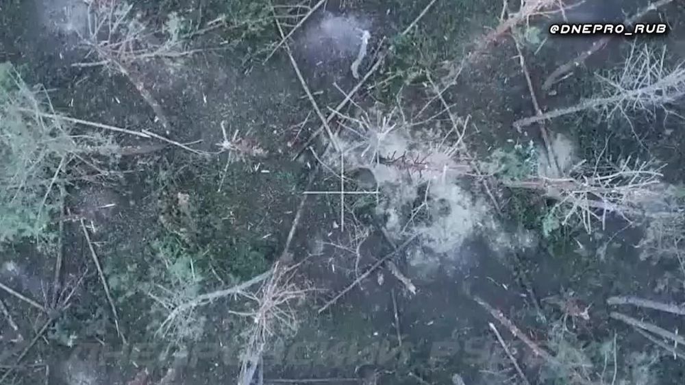 ����� �����: ����������� ����� "�����". ���������� �����������