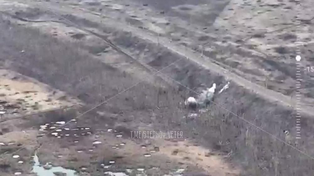 ����� �� 85 ������� � ������ ��������� ���������� � ���������� ������� �������