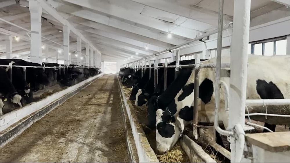 ��� ������: ����������� �������, ������