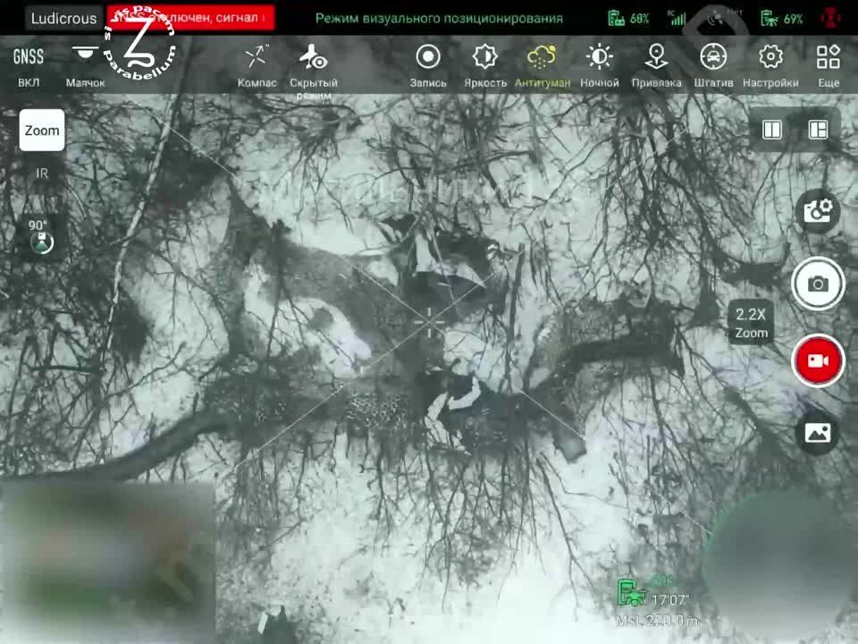 ����� ����������� ��������� ���������� Starlink �� ���������� �����������