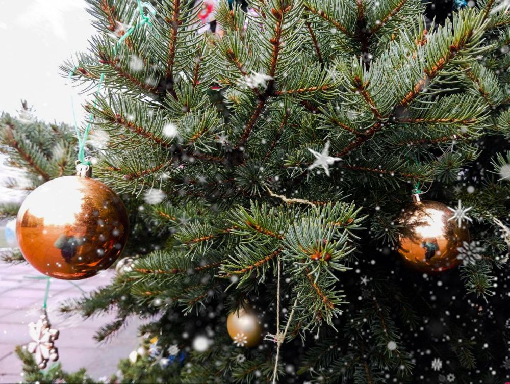 ��������� ����������� ��������� � �������������� ��. ���������� ��������� � ��� ����� ��������� �����, ��� ��� �����, ��� � ��� ��������