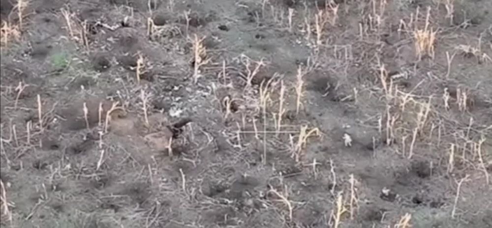 ����� ����������� �������� � �.�. ��������