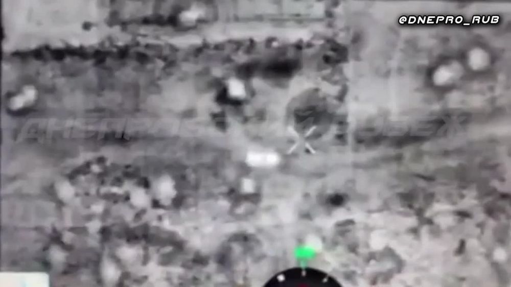 ����������� ����� "�����". ���������� �����������