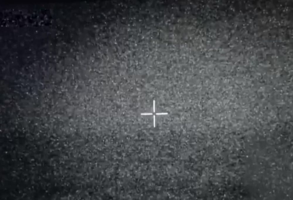 ������� ���������� ������� 29 ����� ���������� �� ������� ������� ���������� � ����������� � ������ �����������